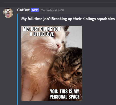 CatBot showcase