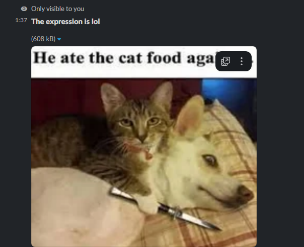 slackbot showcase